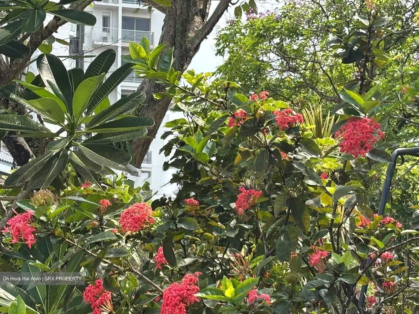 Island Country Villas (D20), Semi-Detached #636903841
